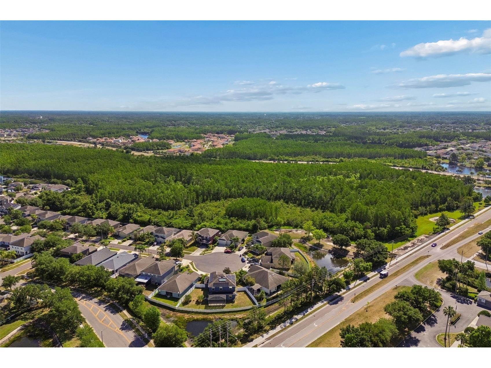 3453 Marmalade Court Land O Lakes FL 34638 TB8502987 image71