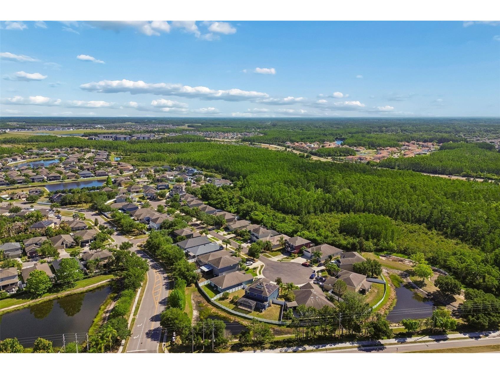 3453 Marmalade Court Land O Lakes FL 34638 TB8502987 image72