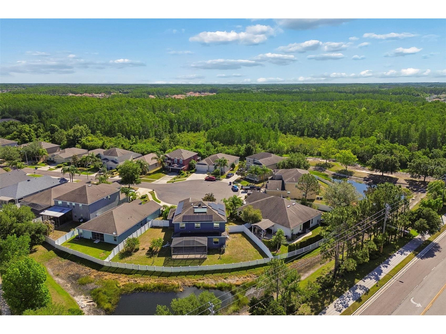 3453 Marmalade Court Land O Lakes FL 34638 TB8502987 image74