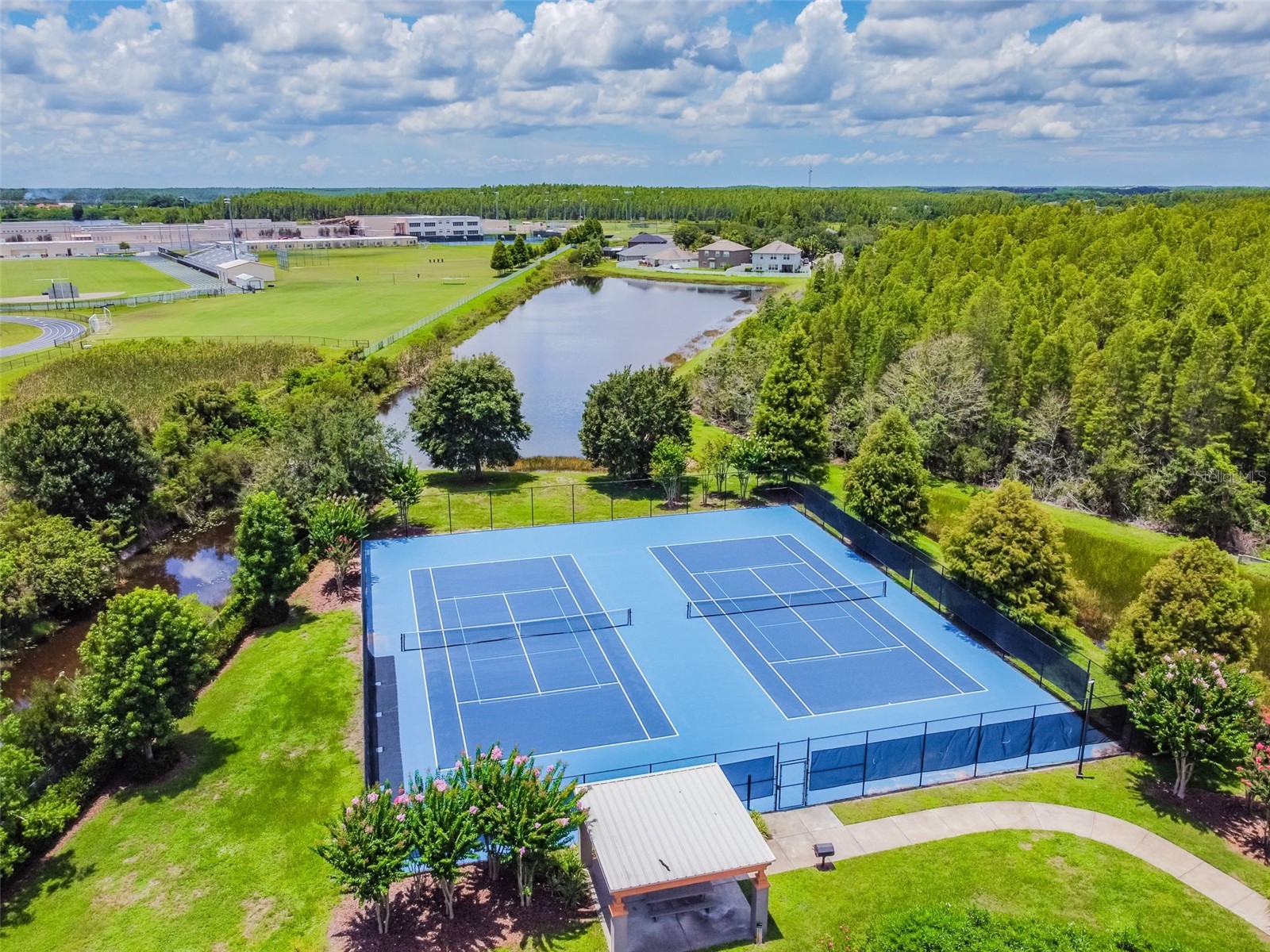 3453 Marmalade Court Land O Lakes FL 34638 TB8502987 image84