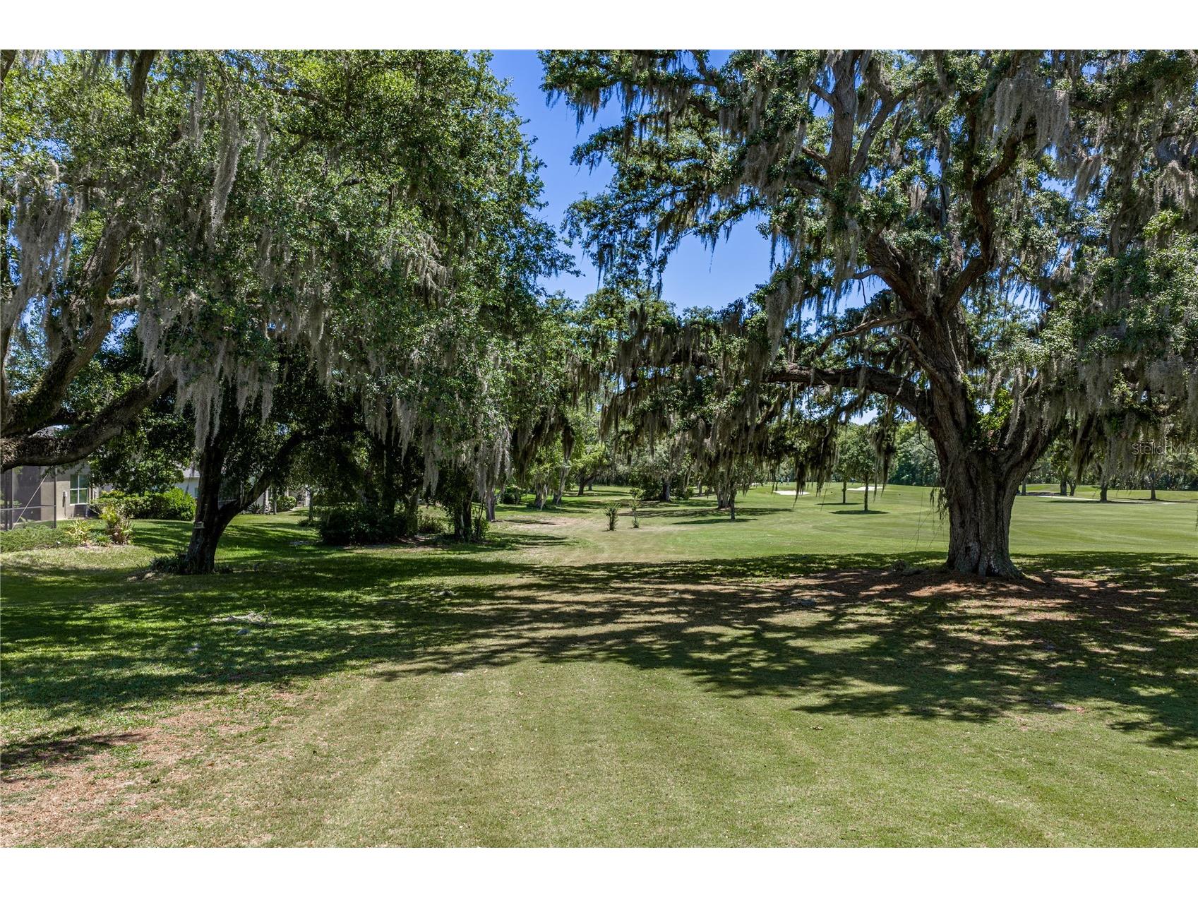 34530 Heavenly Lane Dade City FL 33525 TB8507425 image77