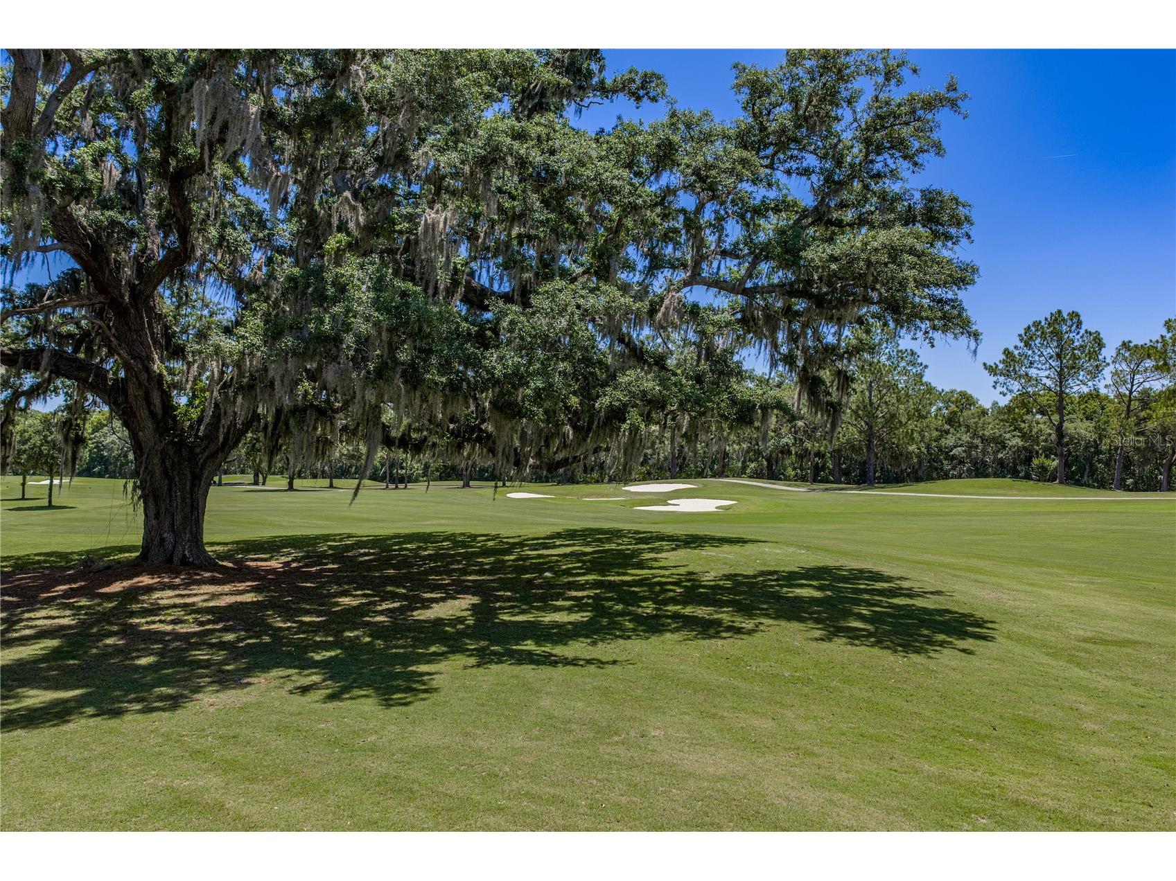 34530 Heavenly Lane Dade City FL 33525 TB8507425 image78