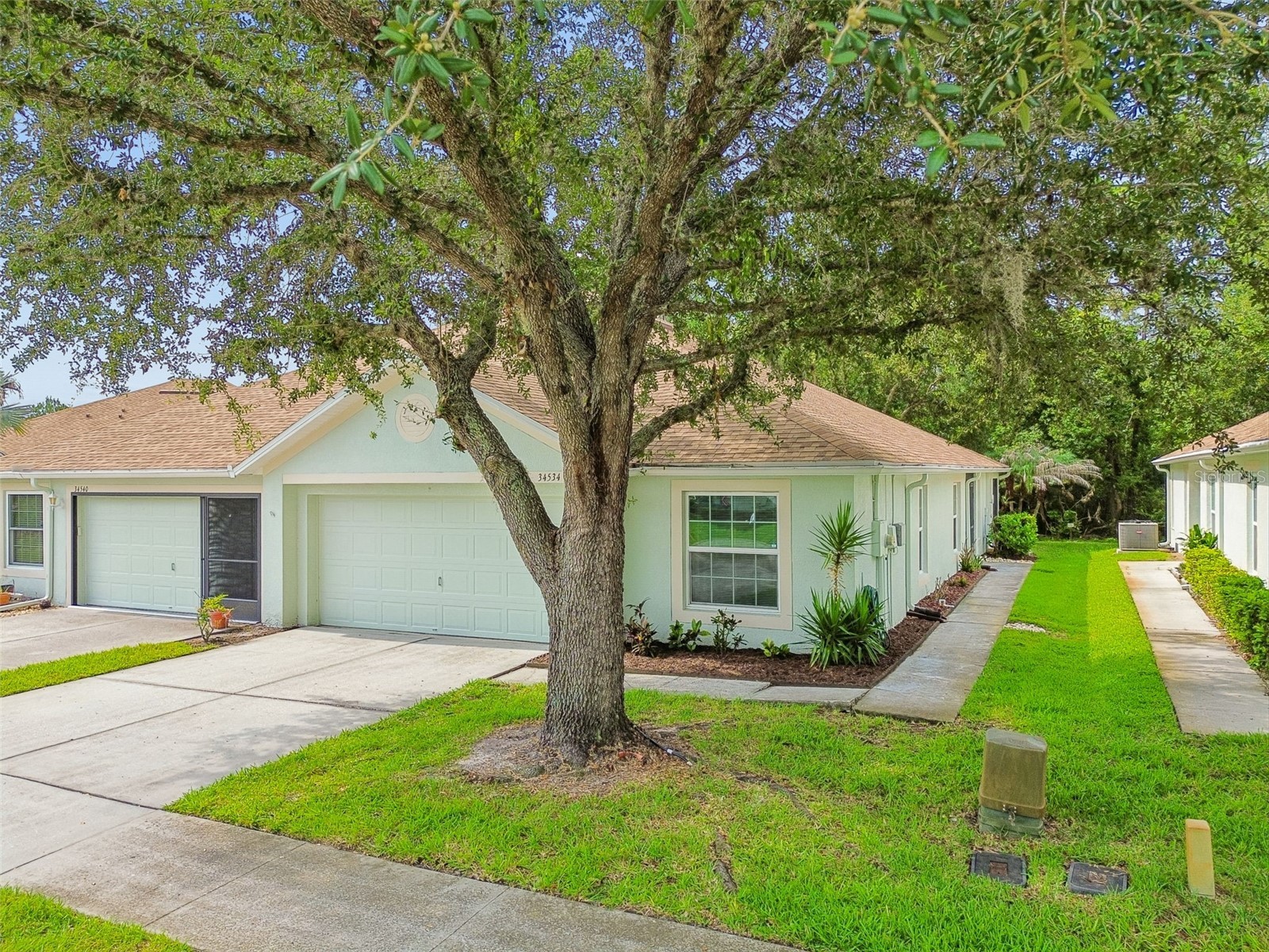 34534 Dellwood Way Zephyrhills FL 33541 TB8523791 image1