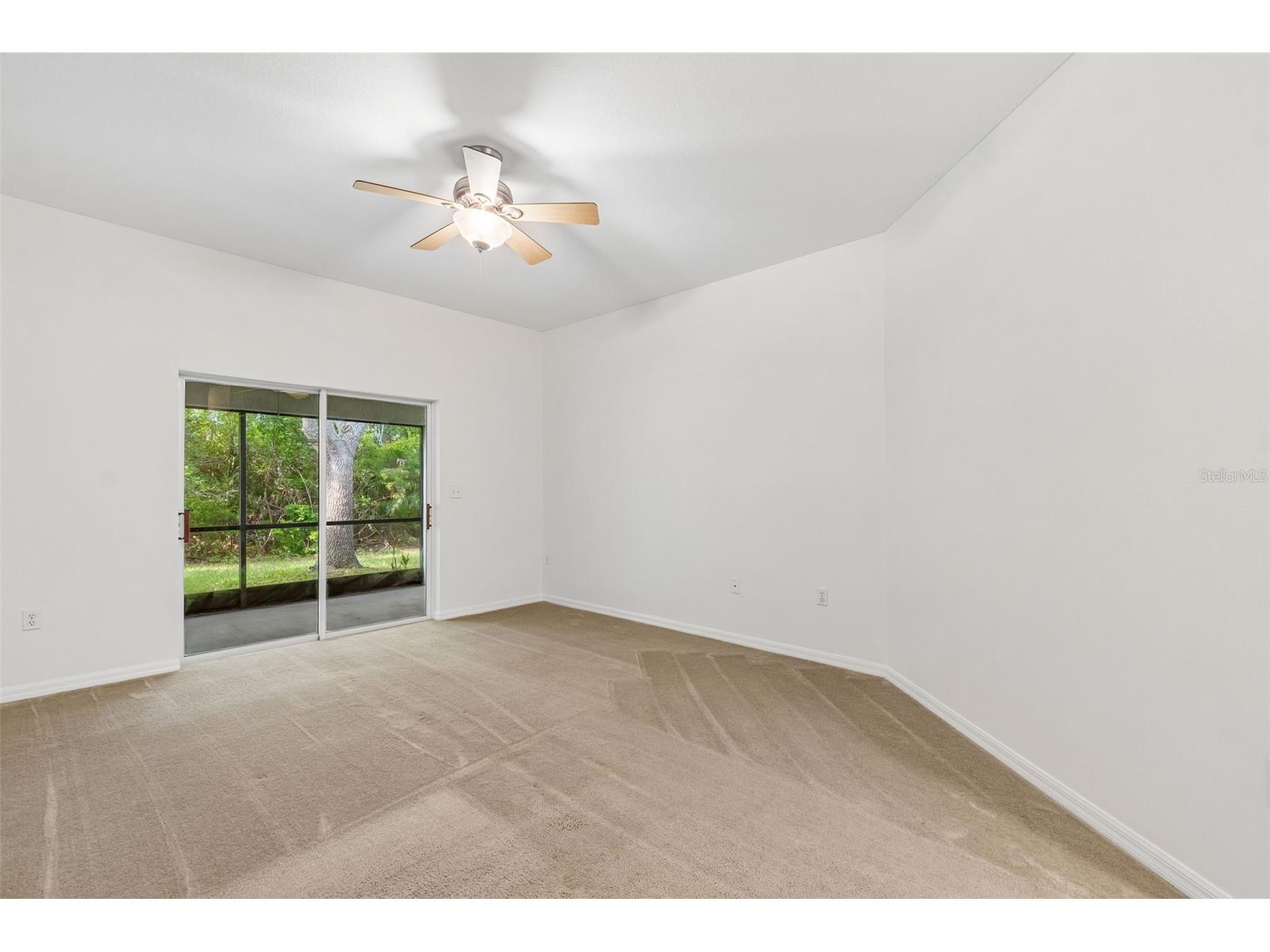 34534 Dellwood Way Zephyrhills FL 33541 TB8523791 image25