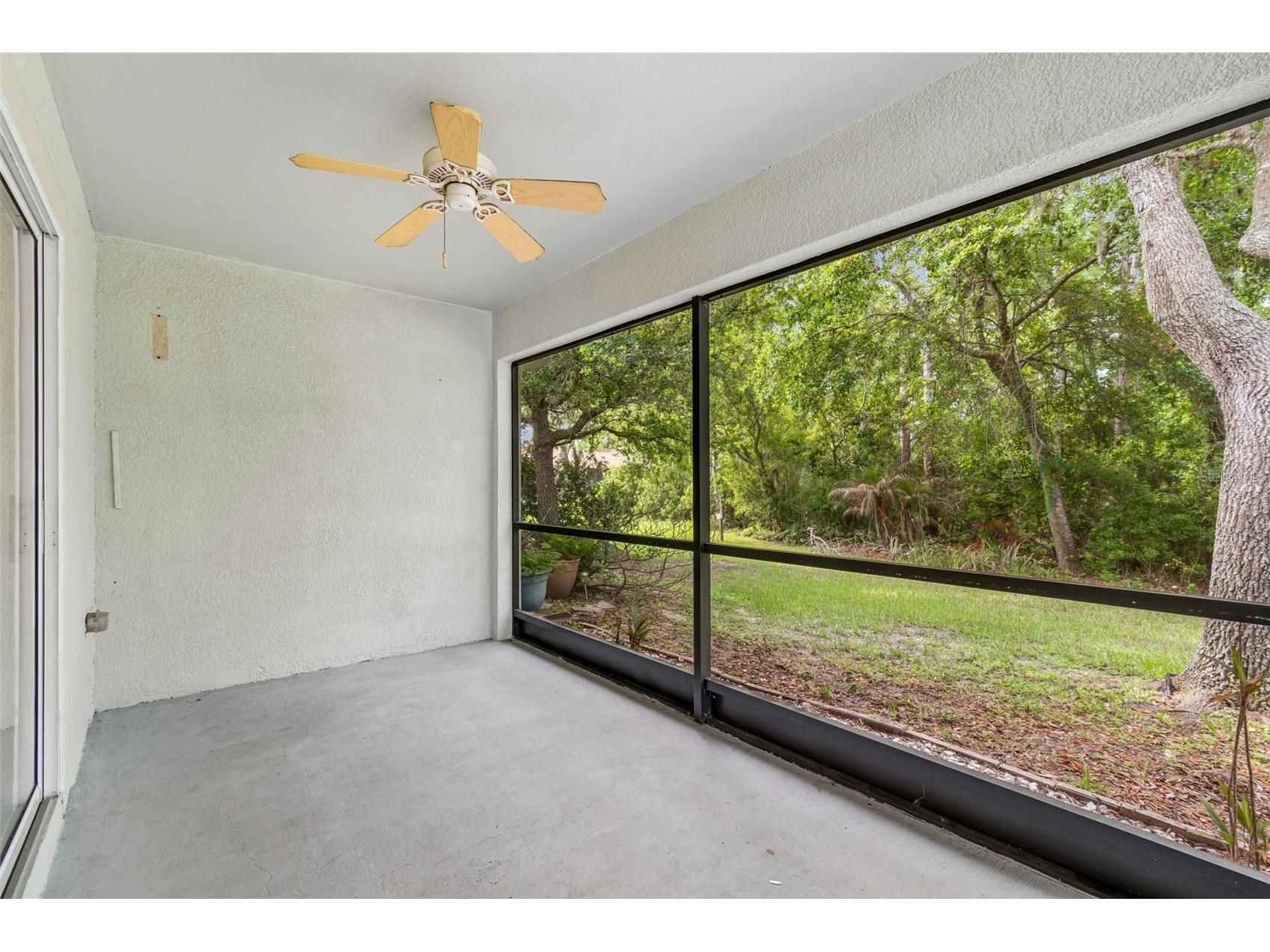 34534 Dellwood Way Zephyrhills FL 33541 TB8523791 image28