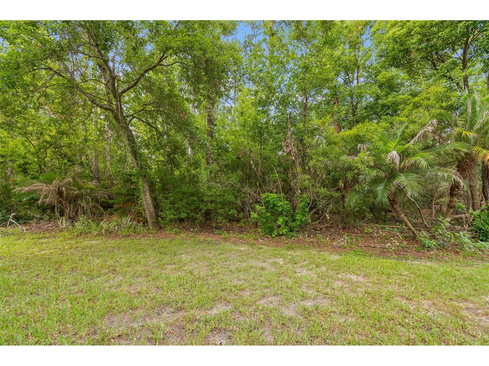 34534 Dellwood Way Zephyrhills FL 33541 TB8523791 image30