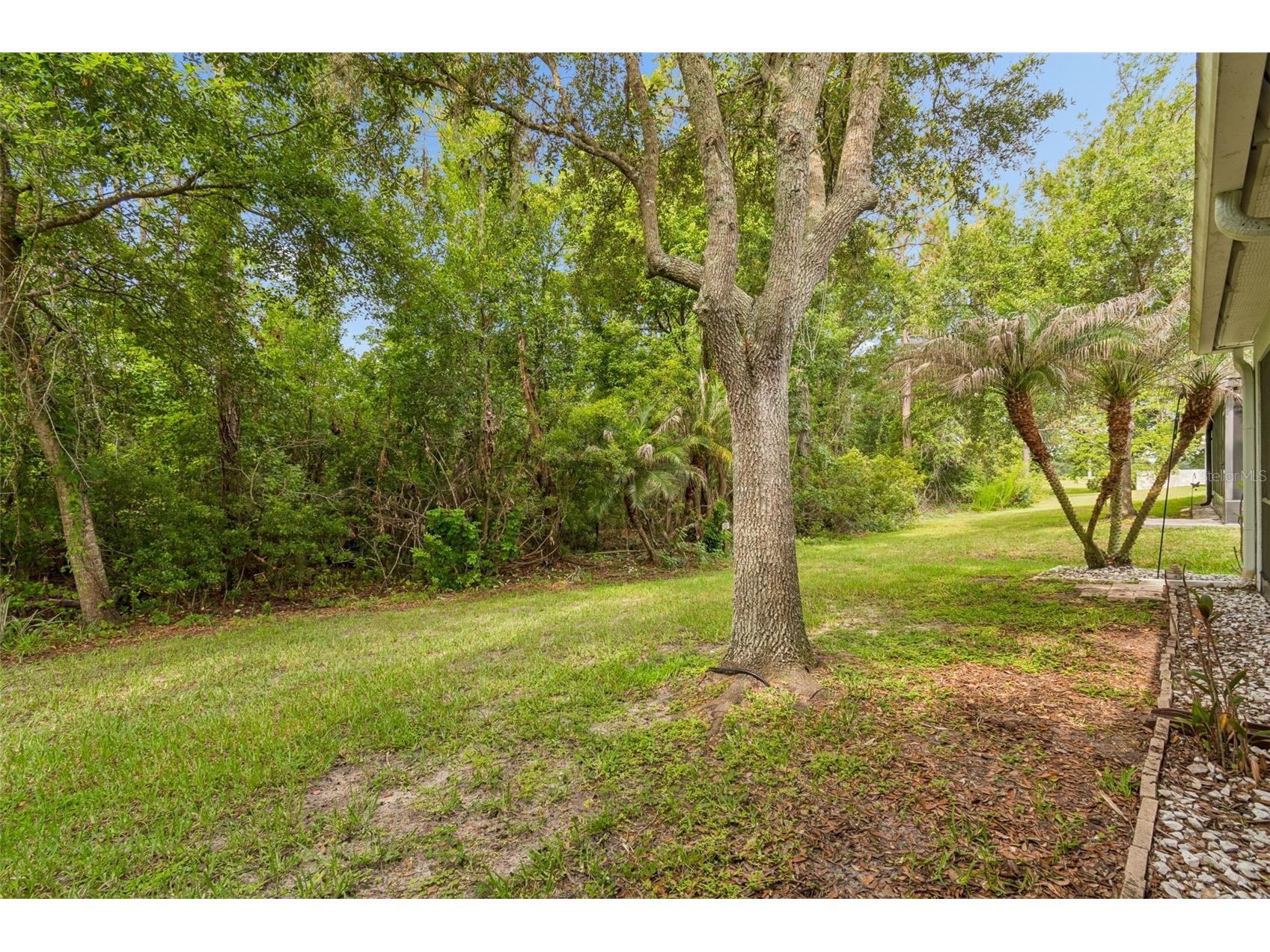 34534 Dellwood Way Zephyrhills FL 33541 TB8523791 image32