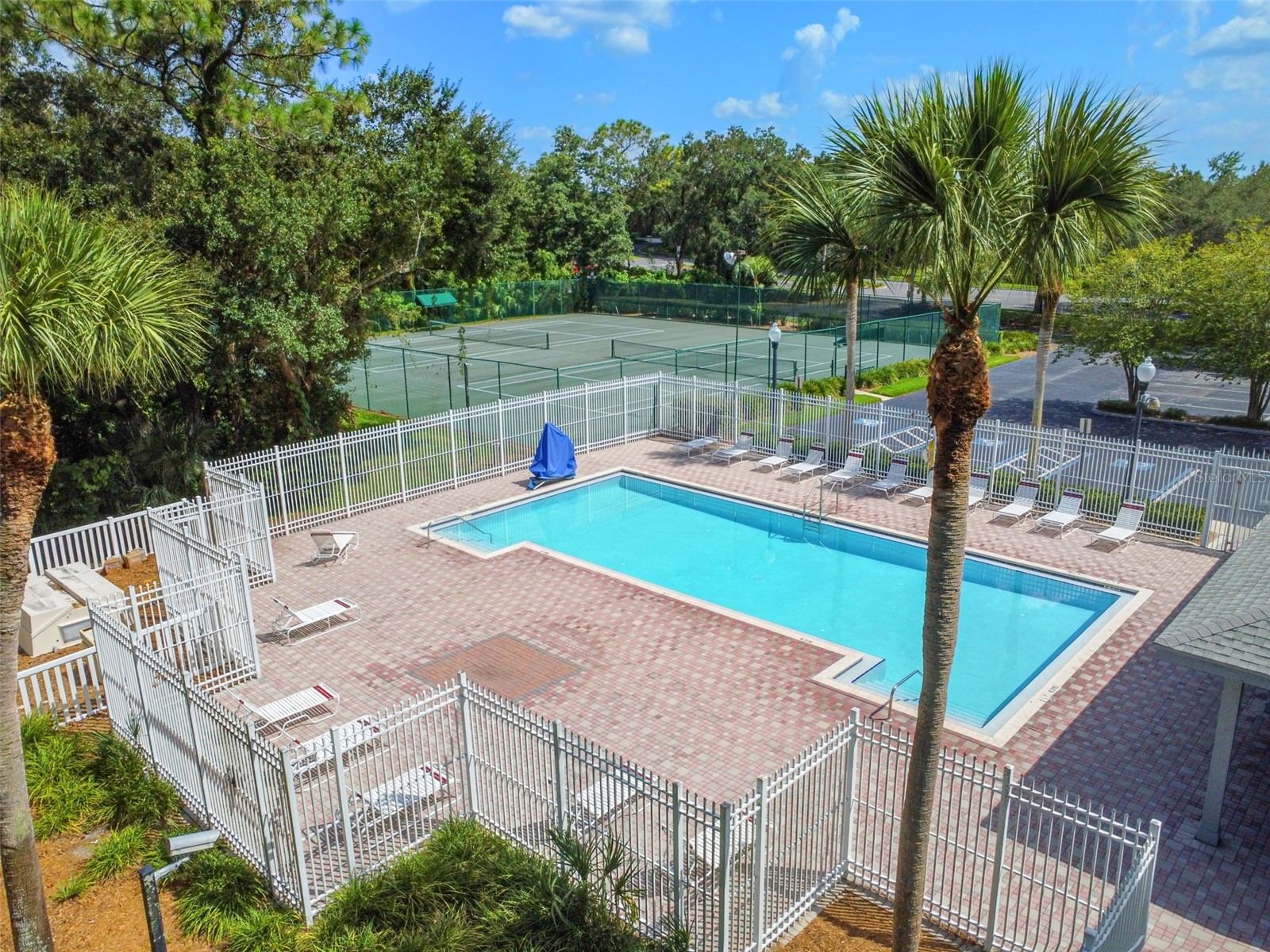 34534 Dellwood Way Zephyrhills FL 33541 TB8523791 image40