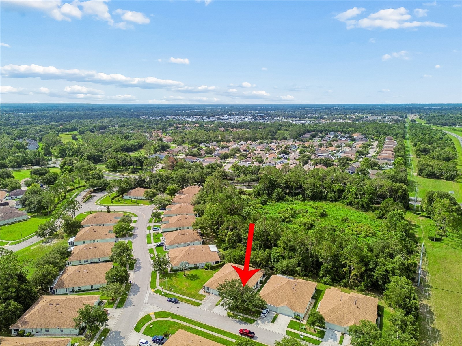 34534 Dellwood Way Zephyrhills FL 33541 TB8523791 image60