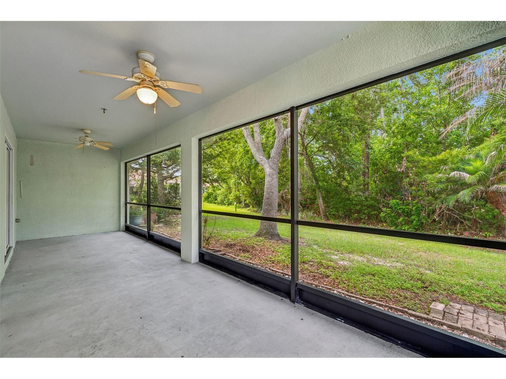 34534 Dellwood Way Zephyrhills FL 33541 TB8523791 image9