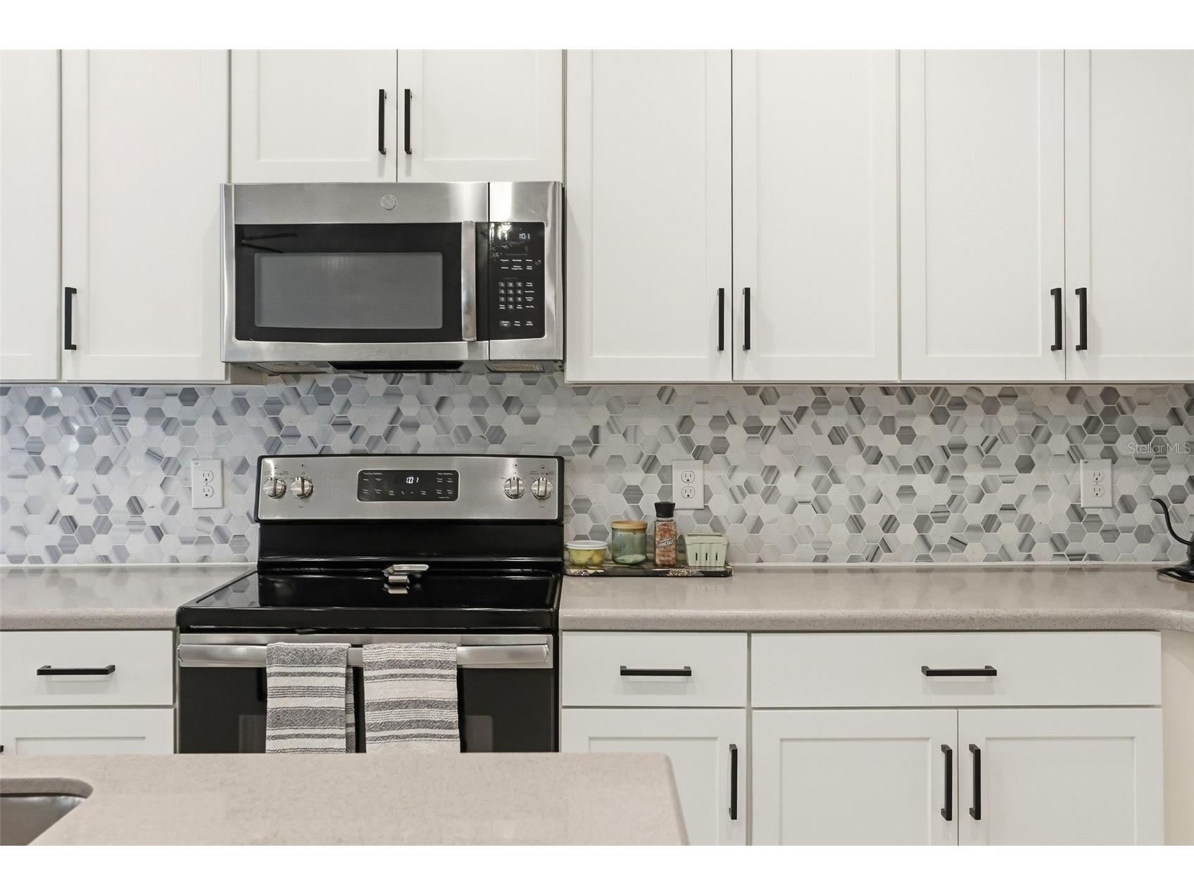 34534 Salerno Circle Sorrento FL 32776 O6391166 image14