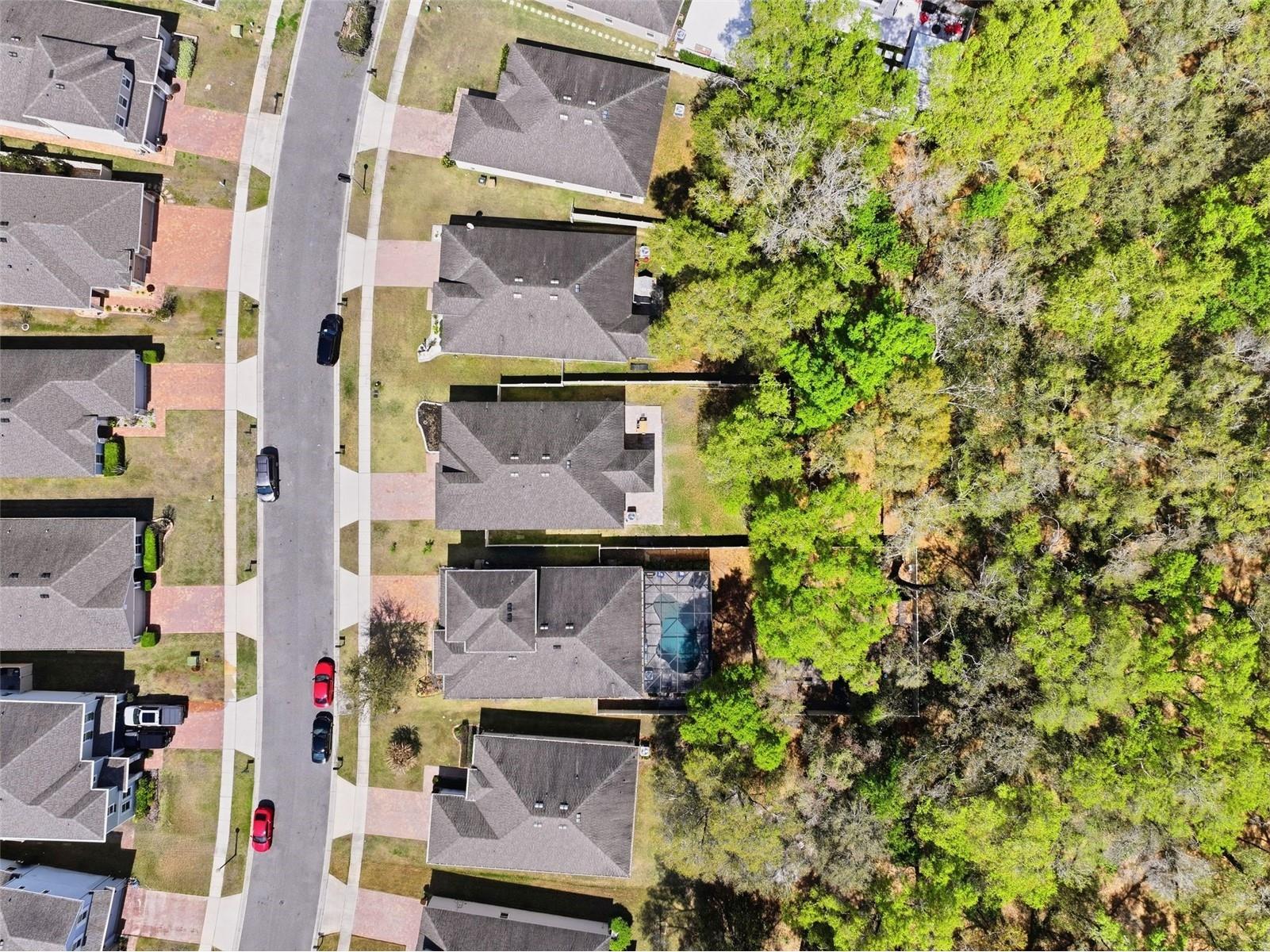 34534 Salerno Circle Sorrento FL 32776 O6391166 image36