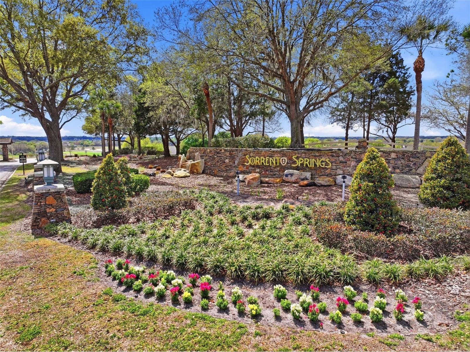 34534 Salerno Circle Sorrento FL 32776 O6391166 image41
