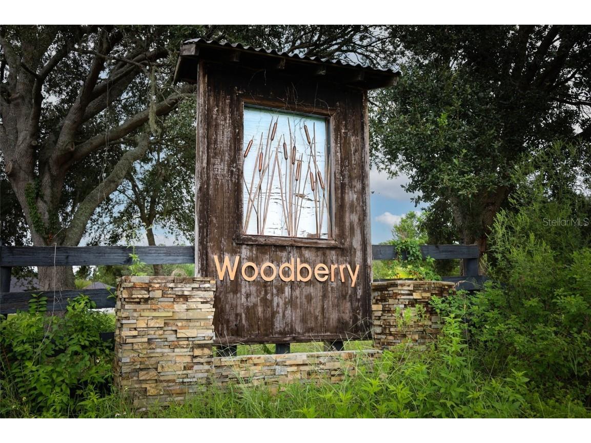 34534 Tree Frog Lane Eustis FL 32736 O6344351 image2