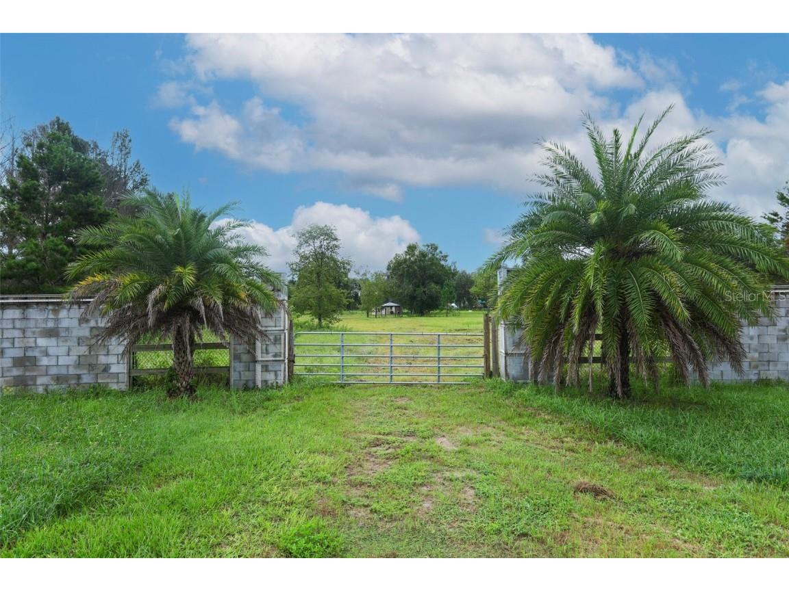 34534 Tree Frog Lane Eustis FL 32736 O6344351 image3