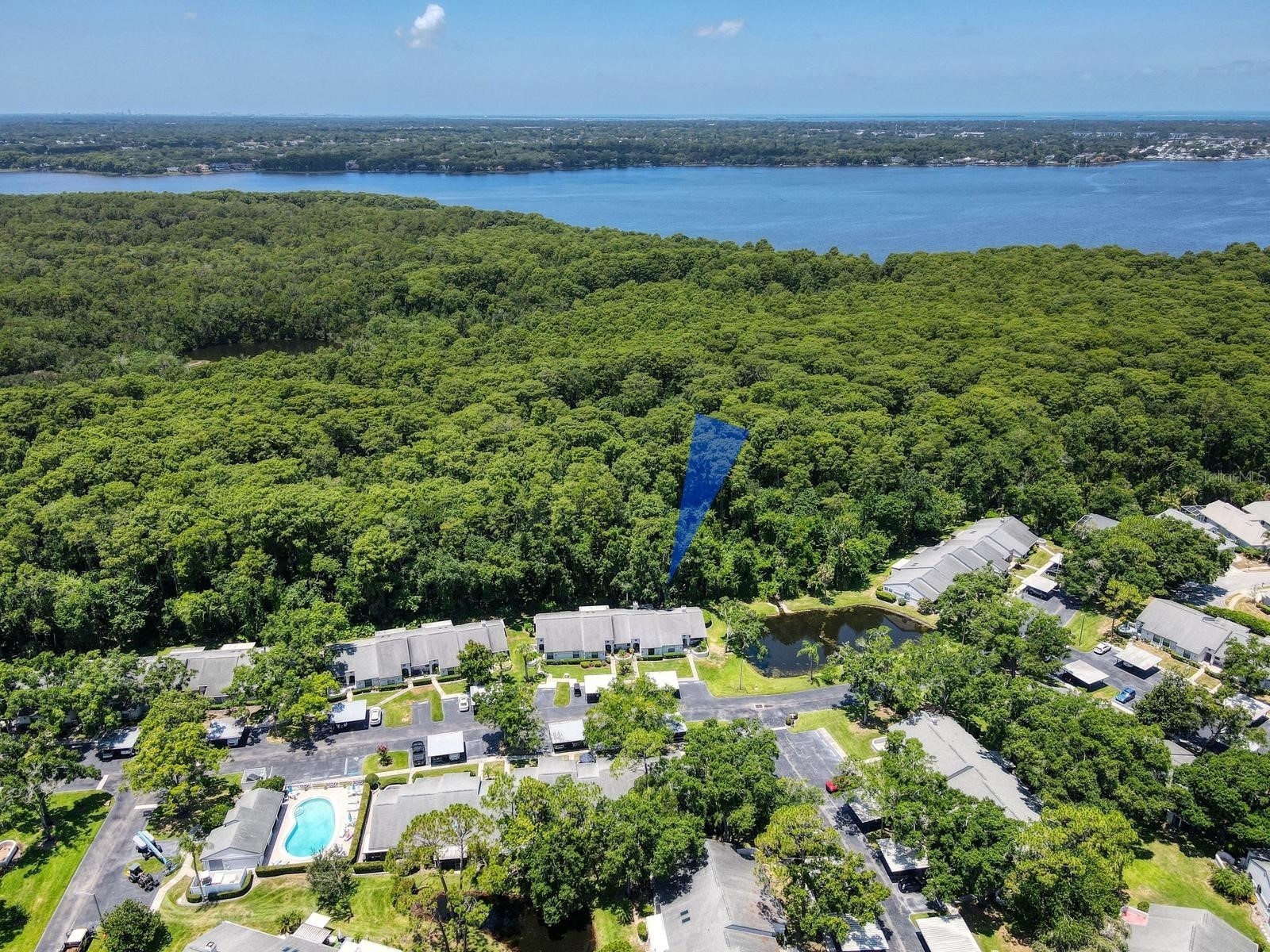 3454 Killdeer Place Palm Harbor FL 34685 TB8522713 image2