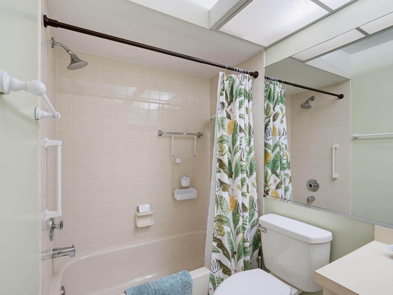 3454 Killdeer Place Palm Harbor FL 34685 TB8522713 image28
