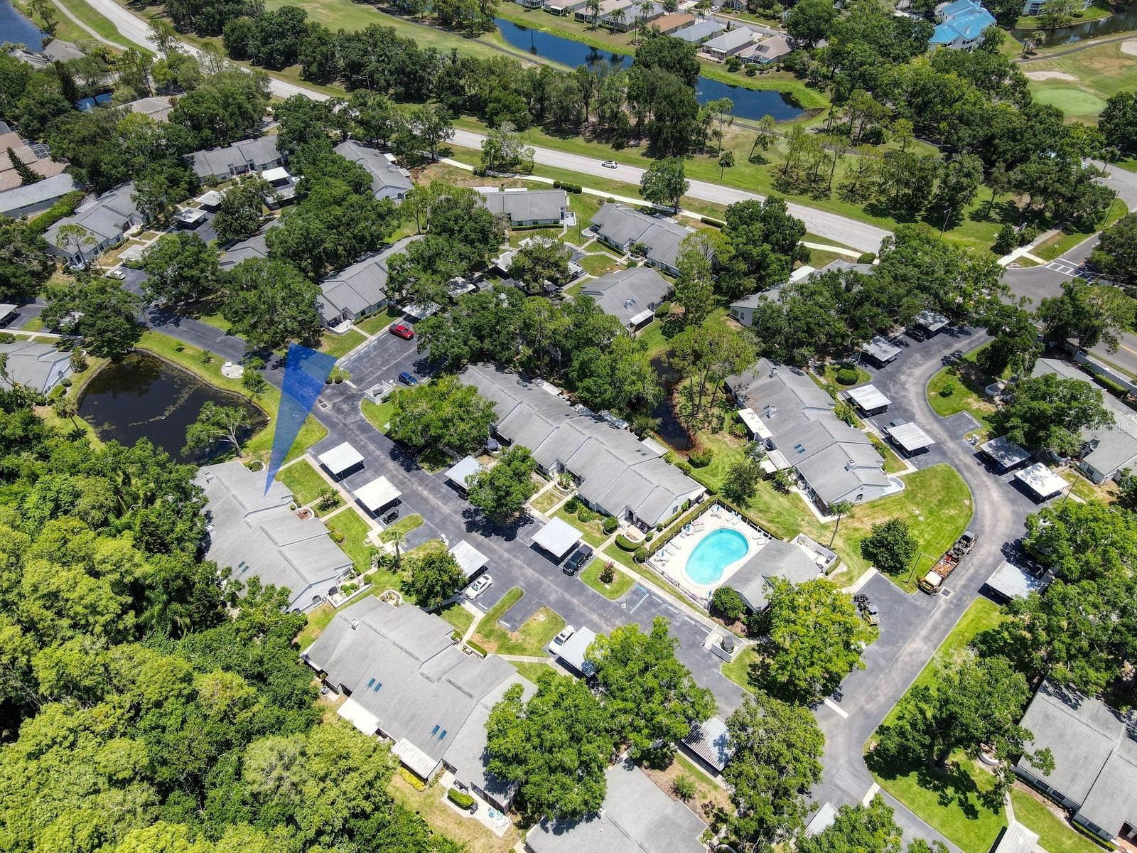 3454 Killdeer Place Palm Harbor FL 34685 TB8522713 image3