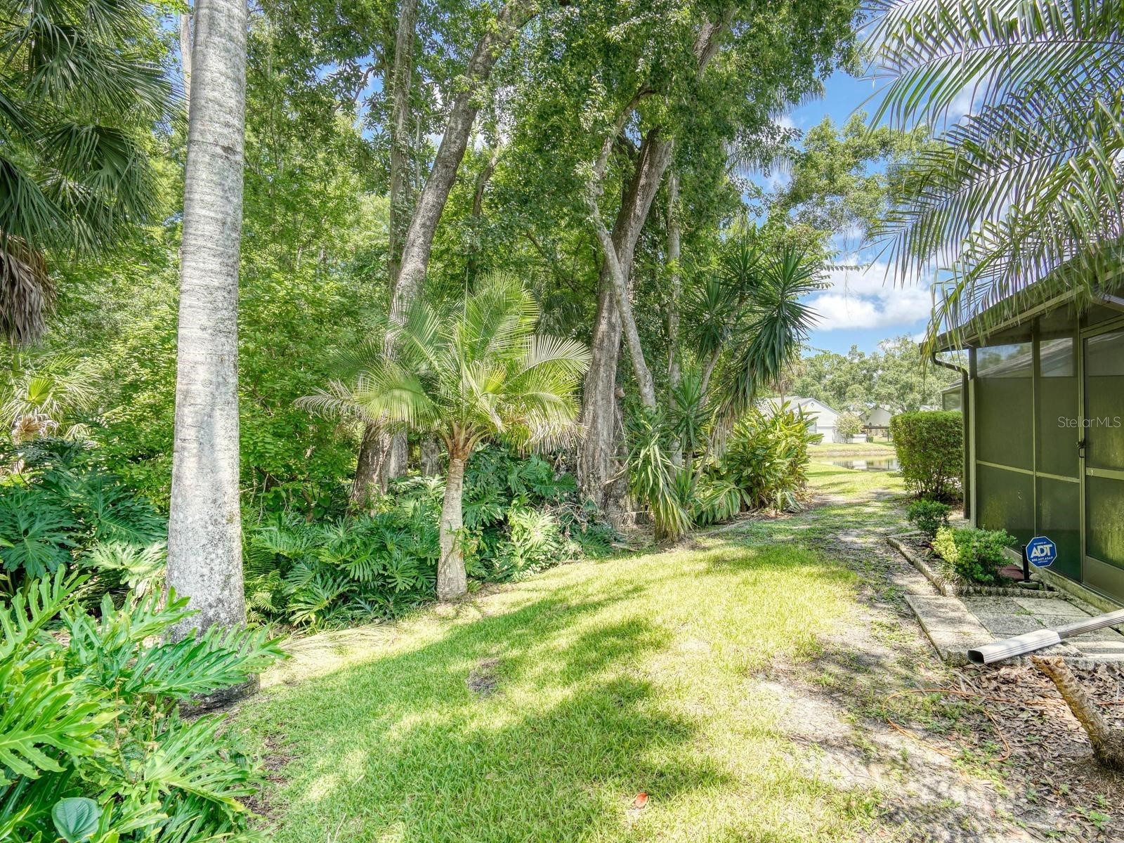 3454 Killdeer Place Palm Harbor FL 34685 TB8522713 image34