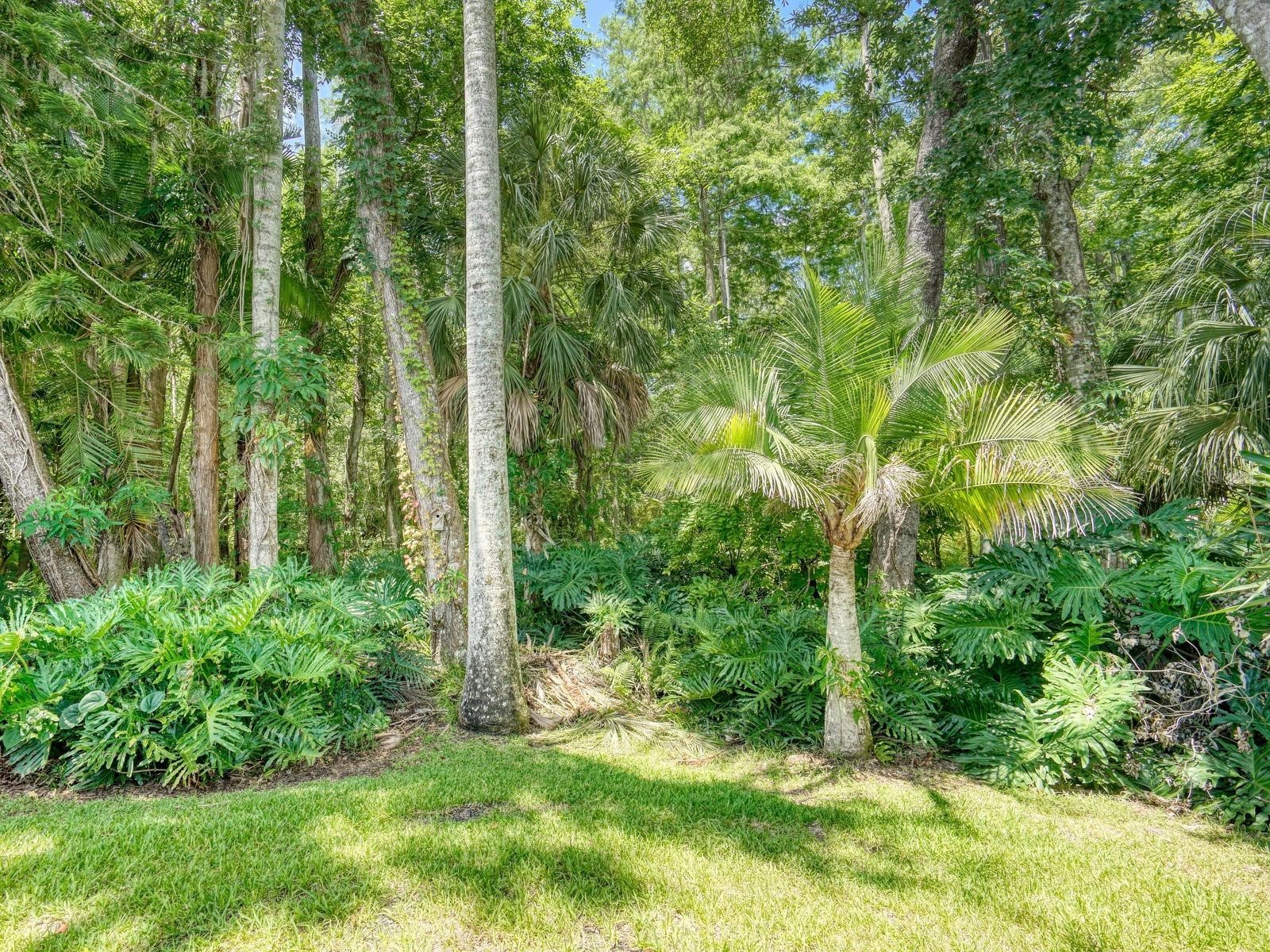 3454 Killdeer Place Palm Harbor FL 34685 TB8522713 image35