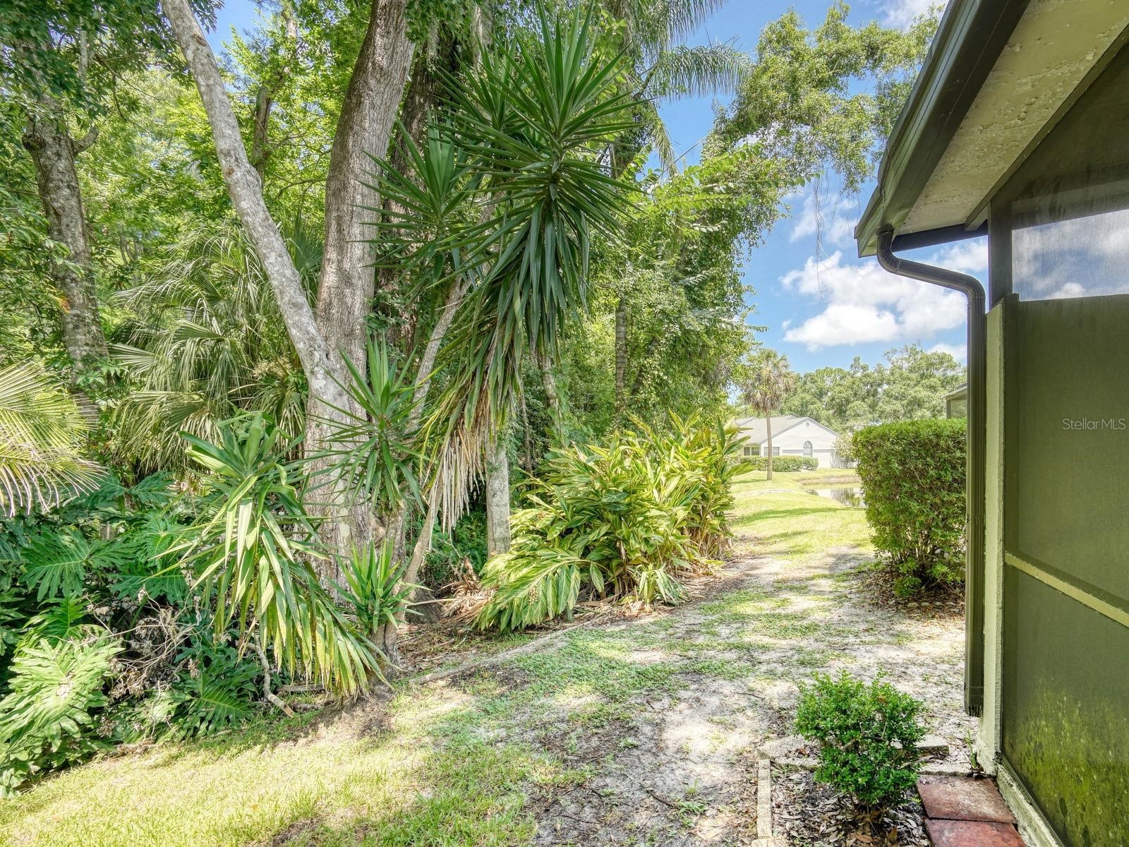 3454 Killdeer Place Palm Harbor FL 34685 TB8522713 image36