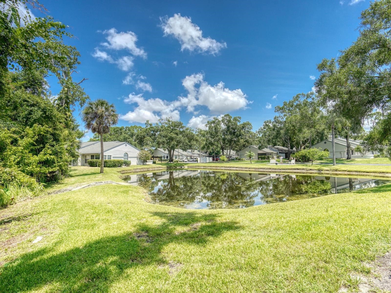 3454 Killdeer Place Palm Harbor FL 34685 TB8522713 image37