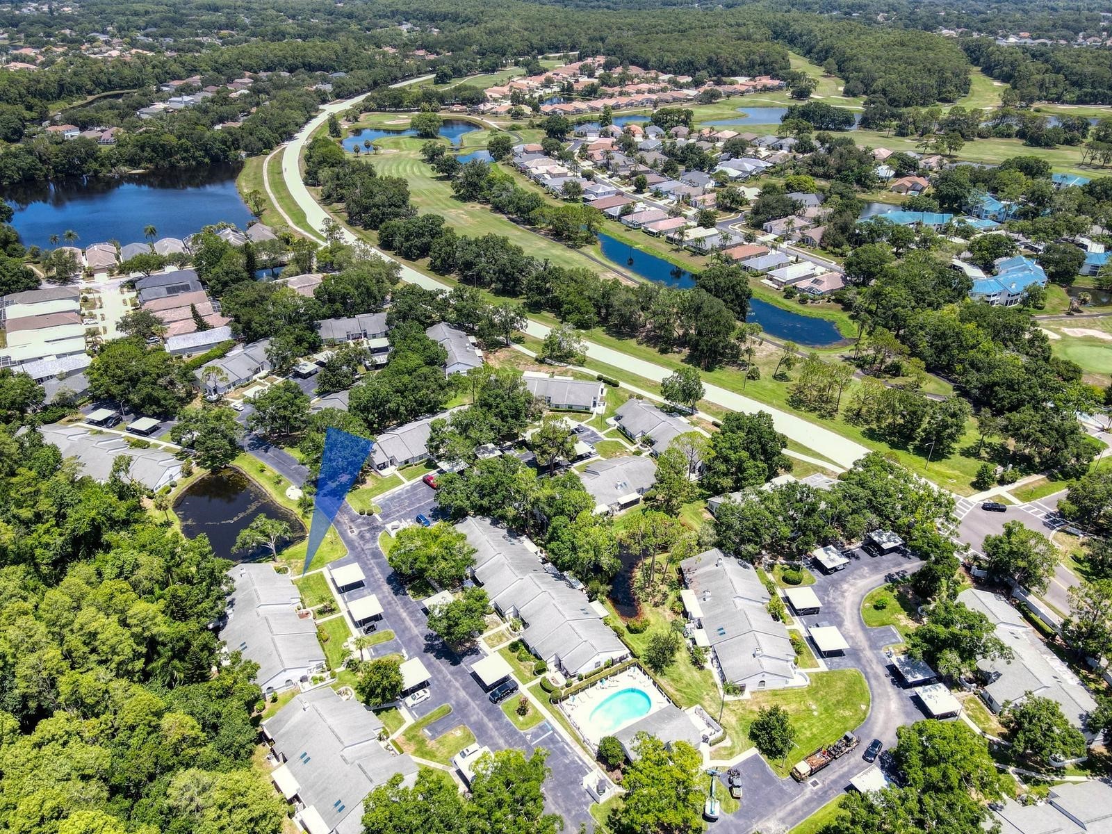 3454 Killdeer Place Palm Harbor FL 34685 TB8522713 image41