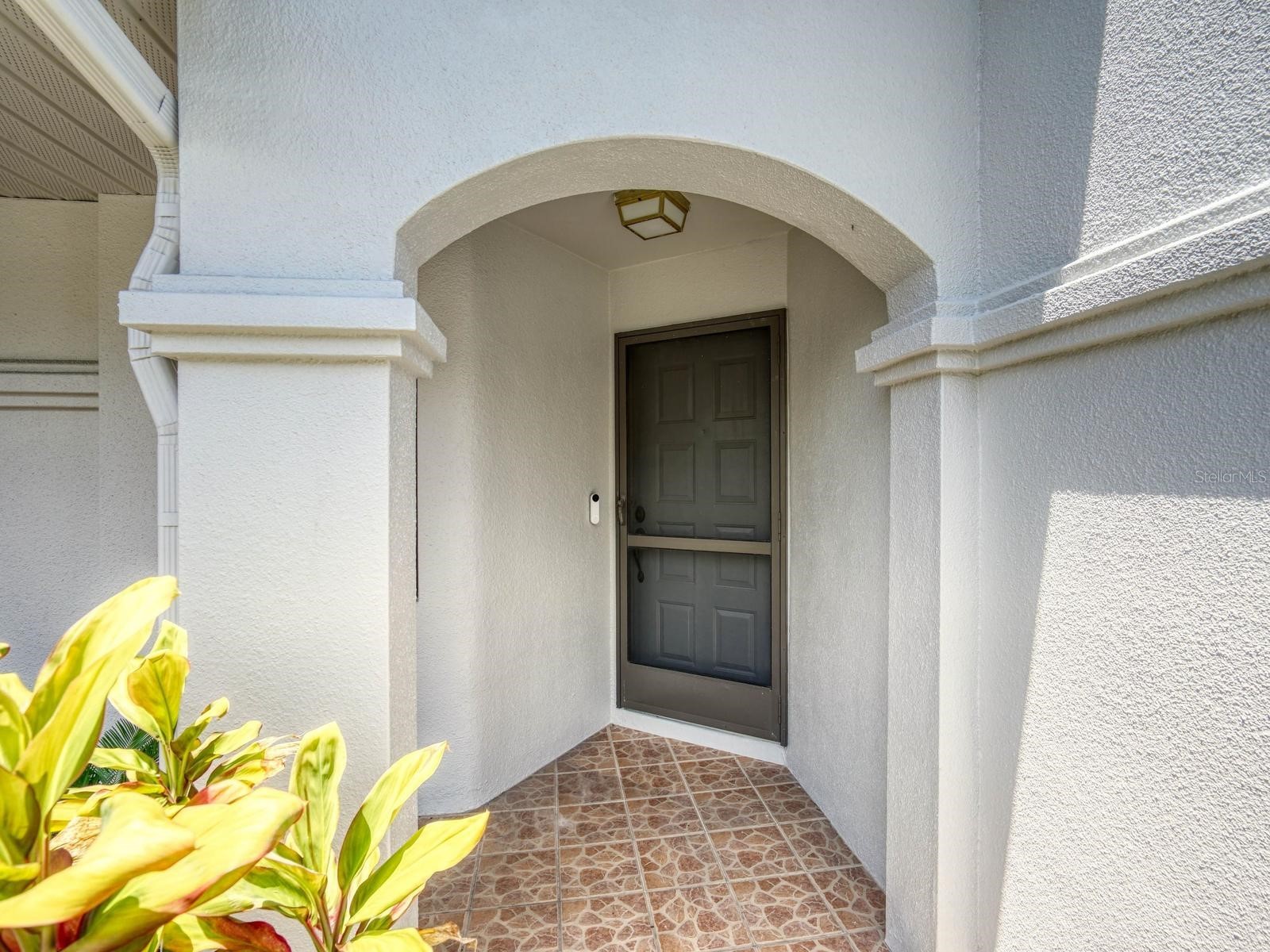 3454 Killdeer Place Palm Harbor FL 34685 TB8522713 image5