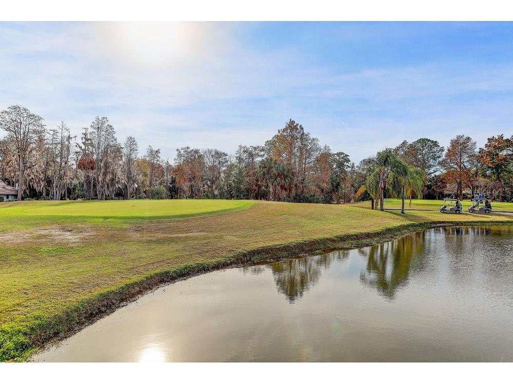 3454 Niblick Court New Port Richey FL 34655 W7881756 image4
