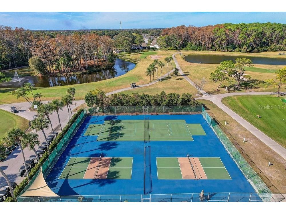 3454 Niblick Court New Port Richey FL 34655 W7881756 image42