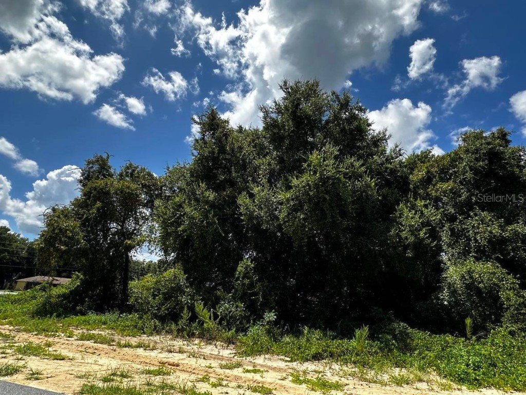 3454 SW 130th Lane Road Ocala FL 34470 G5086745 image1
