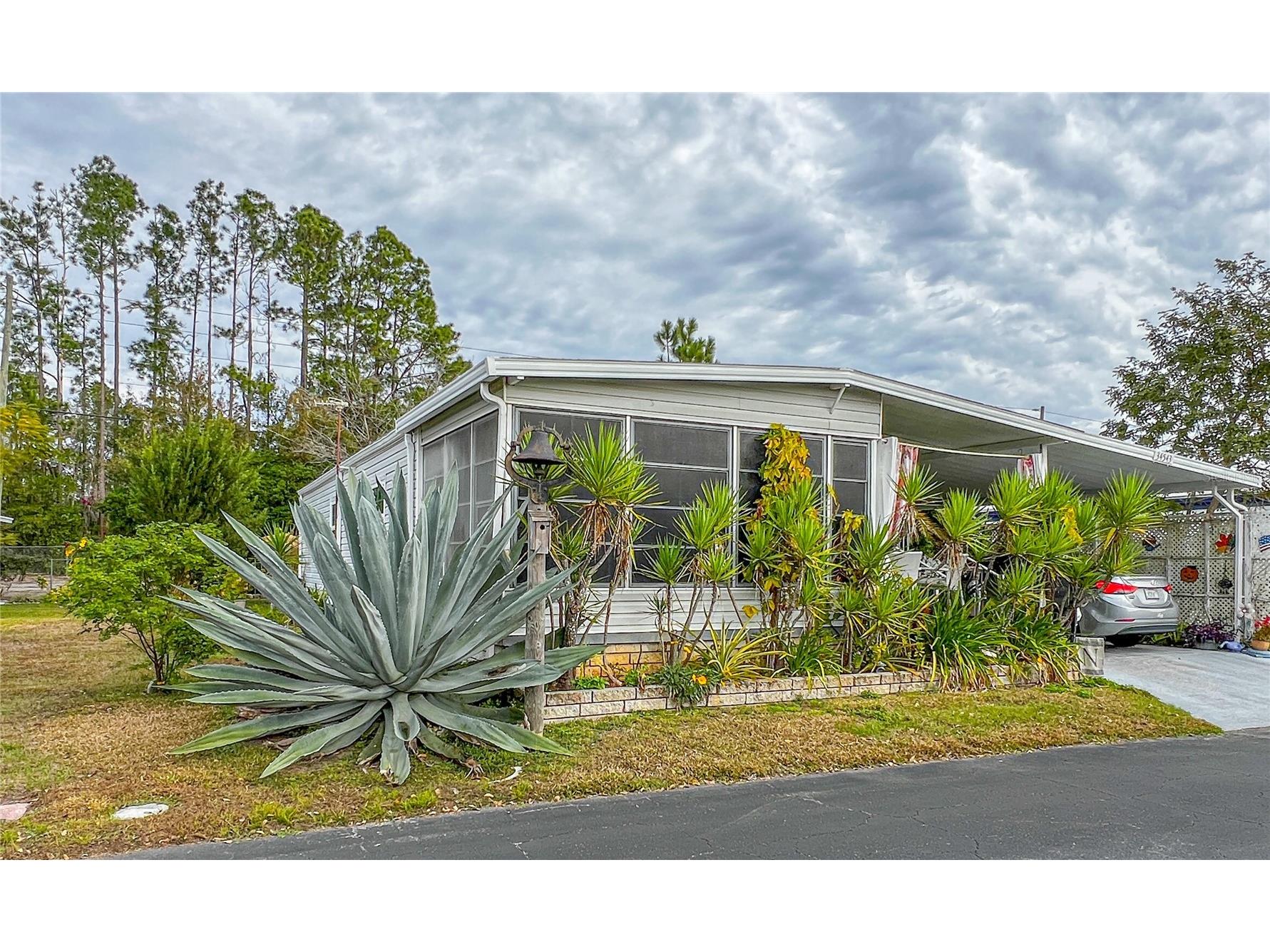 34543 Rosebud Row Zephyrhills FL 33541 TB8464419 image27