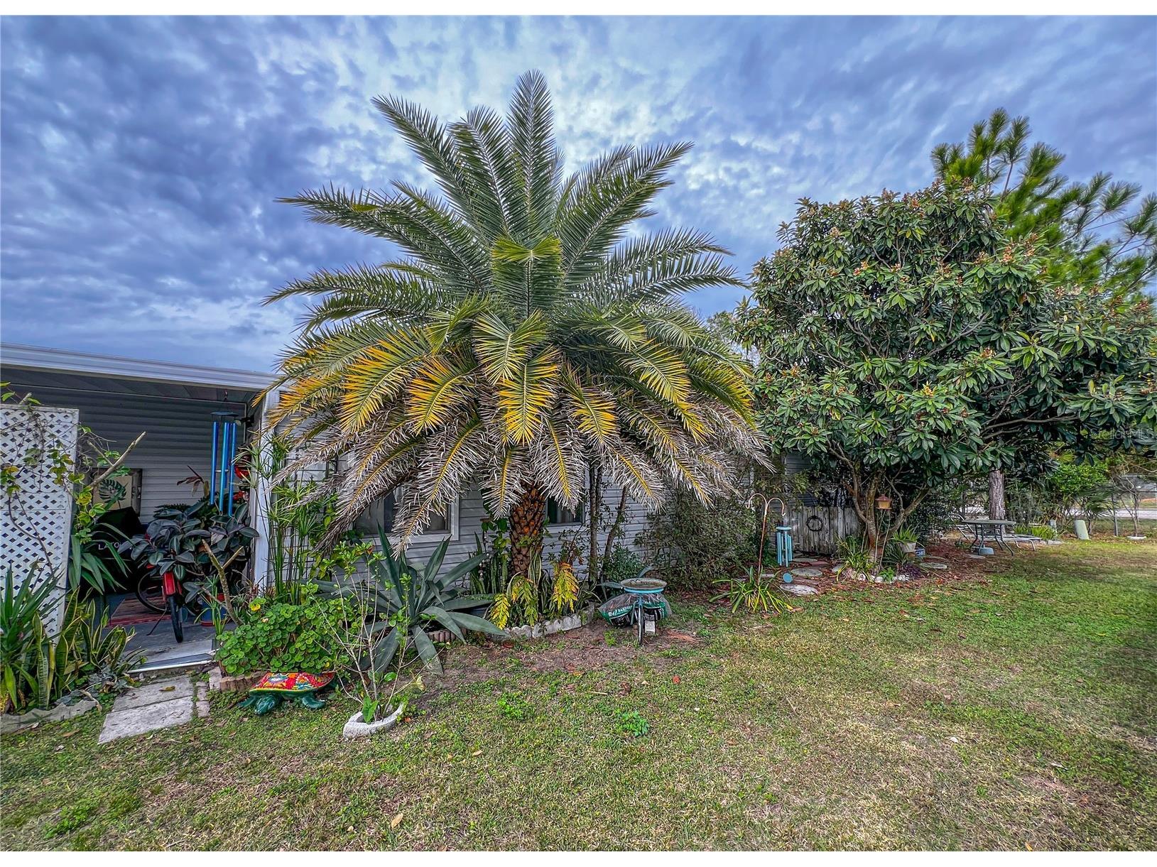 34543 Rosebud Row Zephyrhills FL 33541 TB8464419 image29