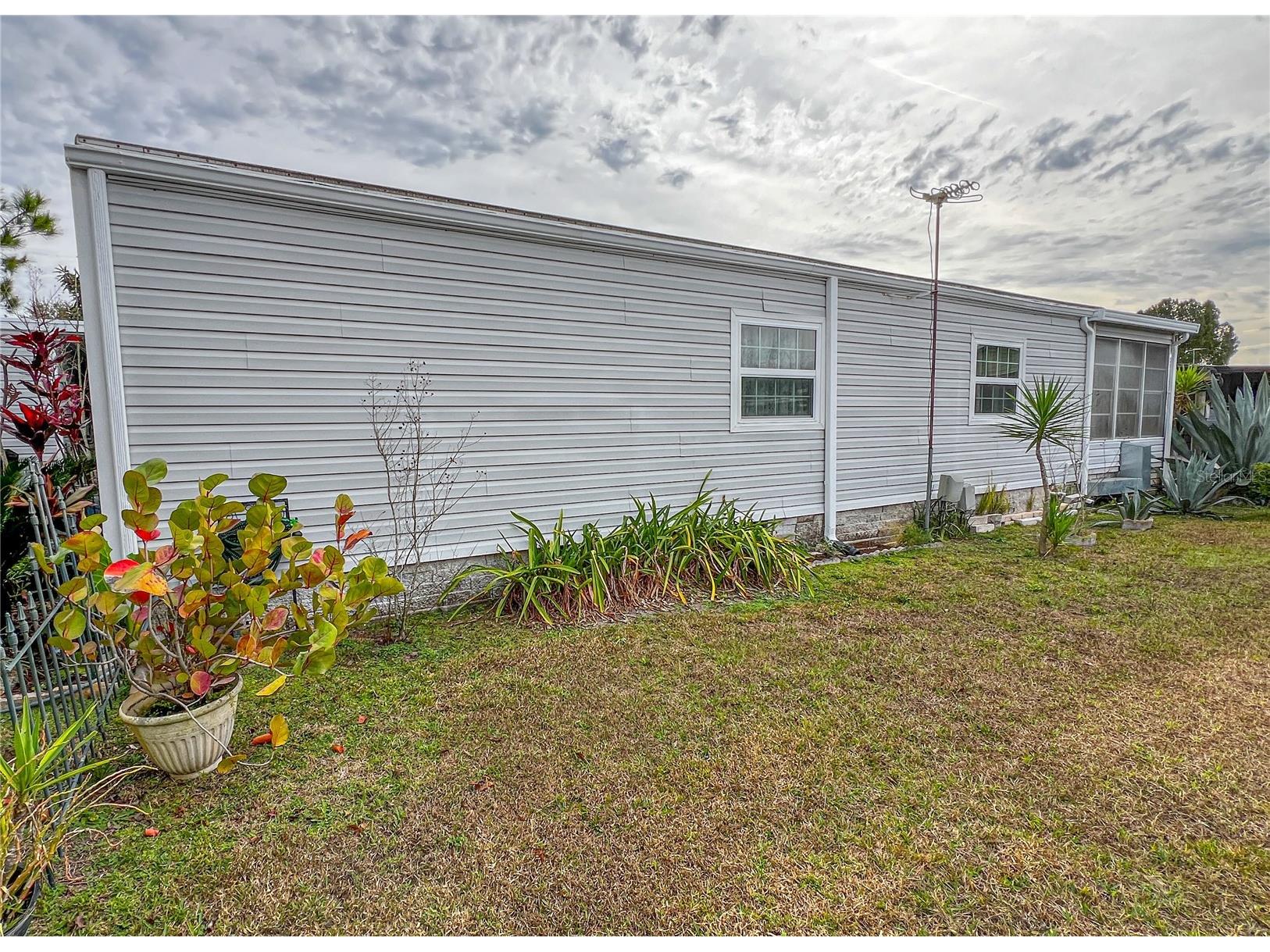 34543 Rosebud Row Zephyrhills FL 33541 TB8464419 image32