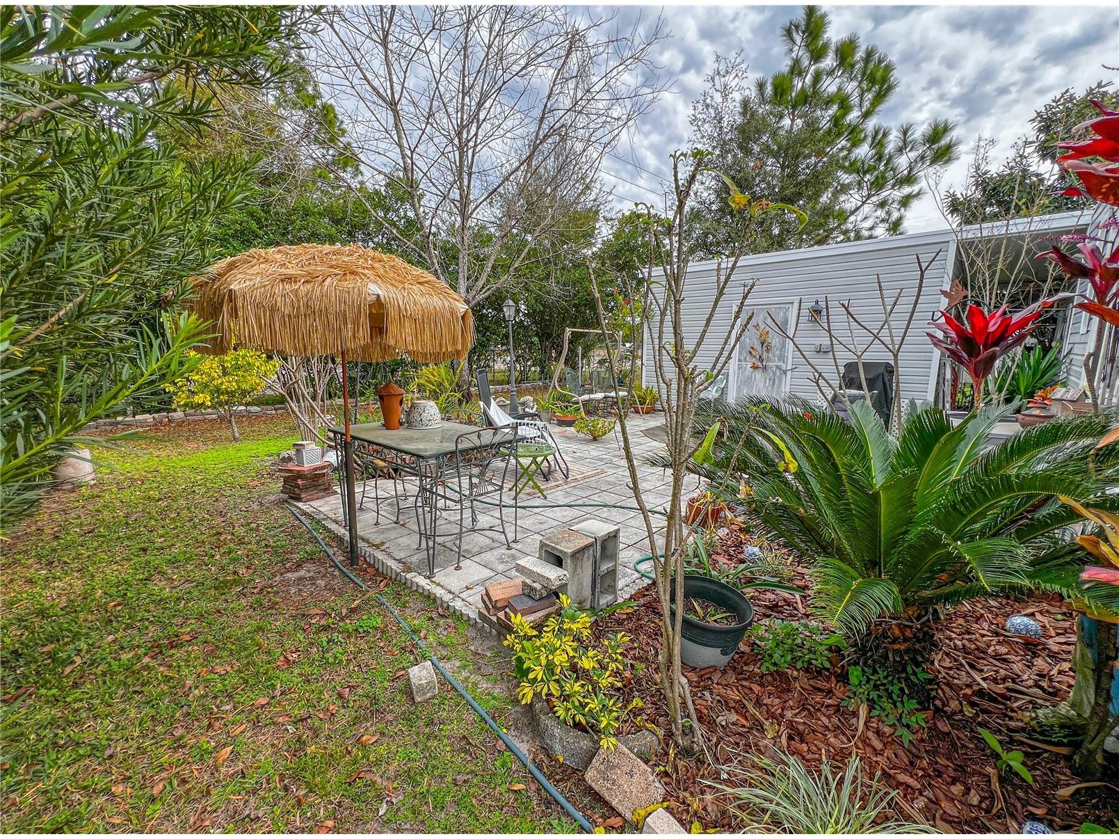 34543 Rosebud Row Zephyrhills FL 33541 TB8464419 image33