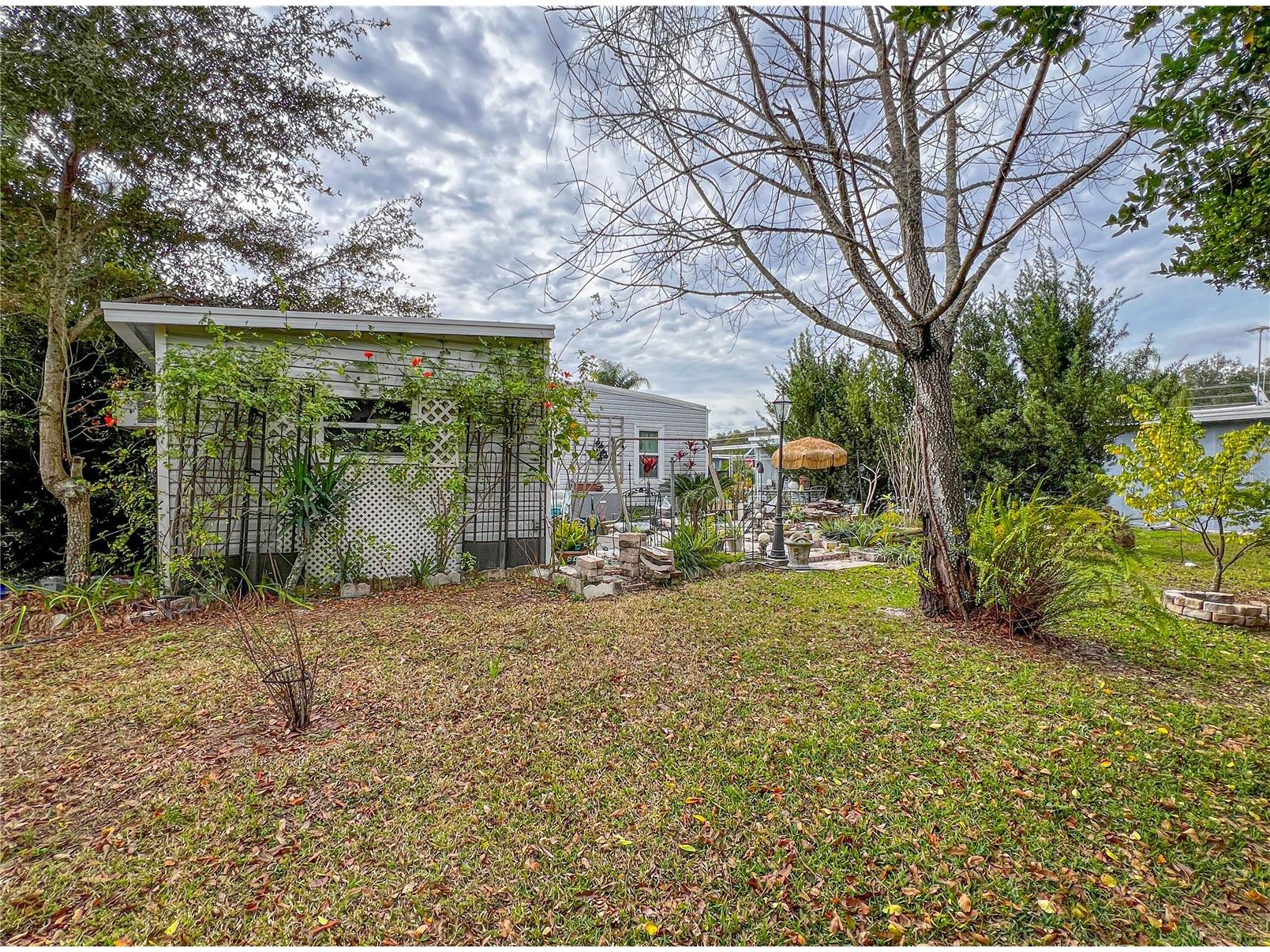 34543 Rosebud Row Zephyrhills FL 33541 TB8464419 image37