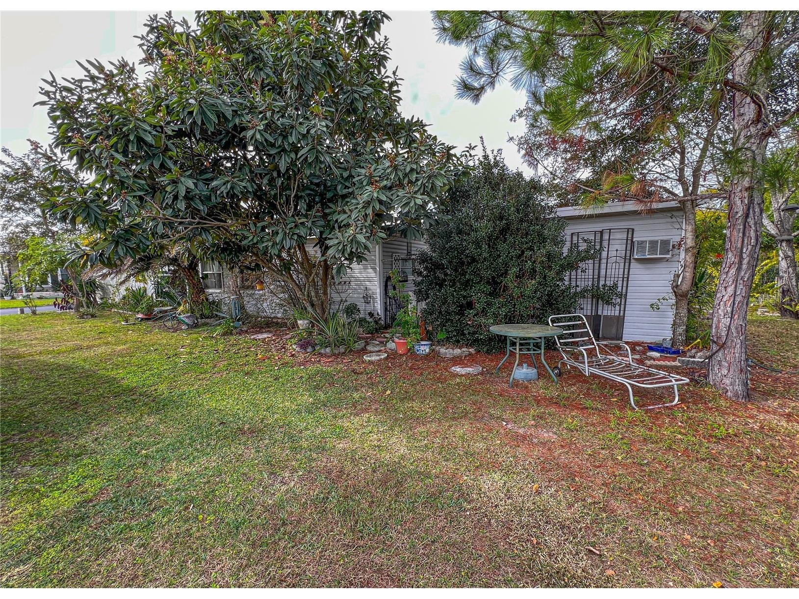 34543 Rosebud Row Zephyrhills FL 33541 TB8464419 image41