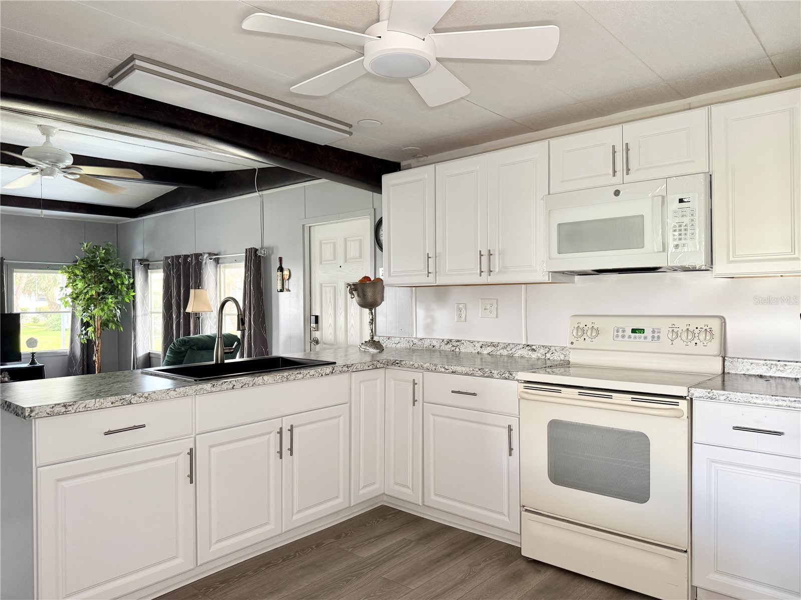 34543 Sweetpea Lane Zephyrhills FL 33541 TB8472645 image10