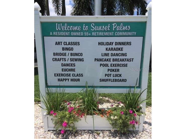 34548 Violet Drive N Pinellas Park FL 33781 TB8513324 image26