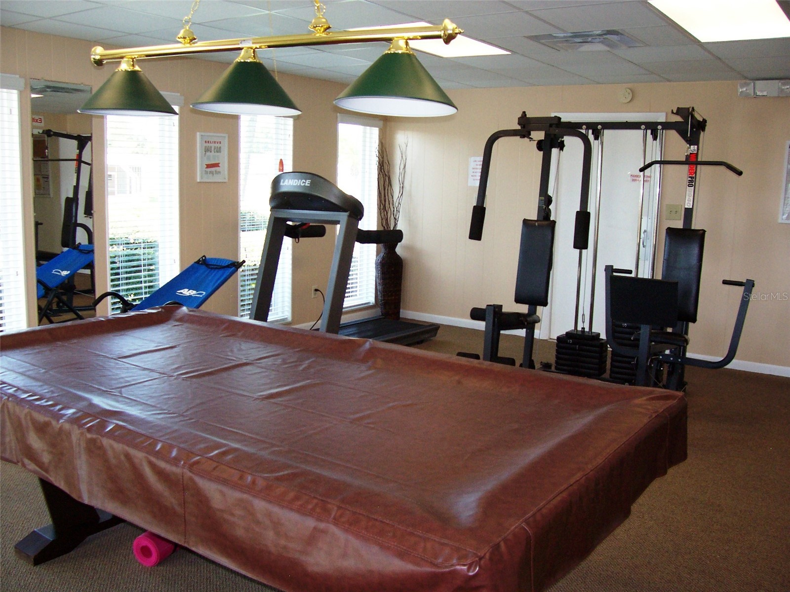 34548 Violet Drive N Pinellas Park FL 33781 TB8513324 image30