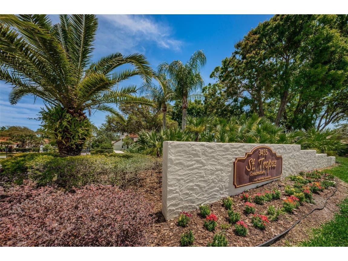 3455 Countryside Boulevard #1 Clearwater FL 33761 TB8439167 image29