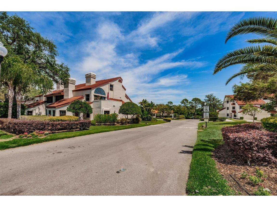3455 Countryside Boulevard #1 Clearwater FL 33761 TB8439167 image30