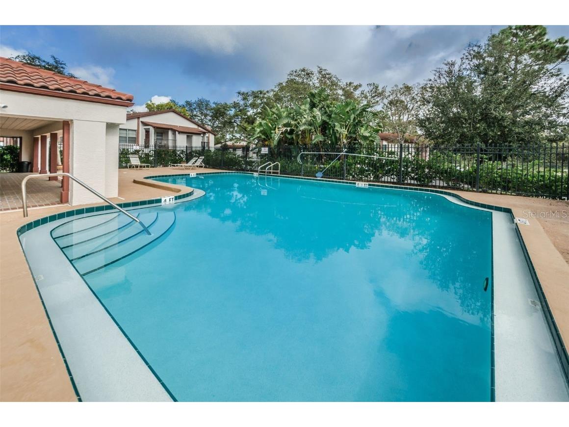 3455 Countryside Boulevard #1 Clearwater FL 33761 TB8439167 image36