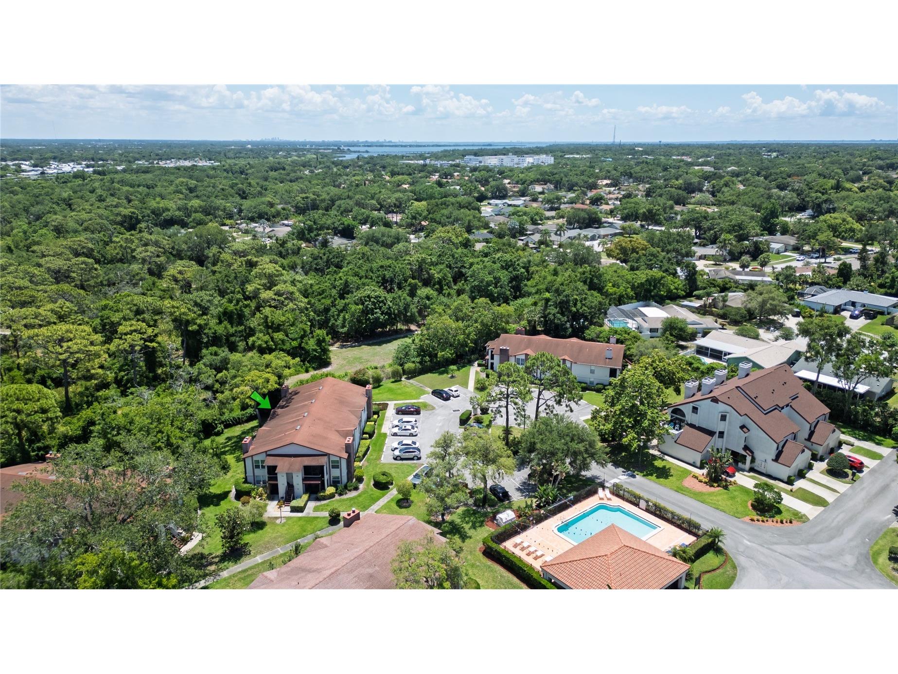 3455 Countryside Boulevard #11 Clearwater FL 33761 TB8511509 image2