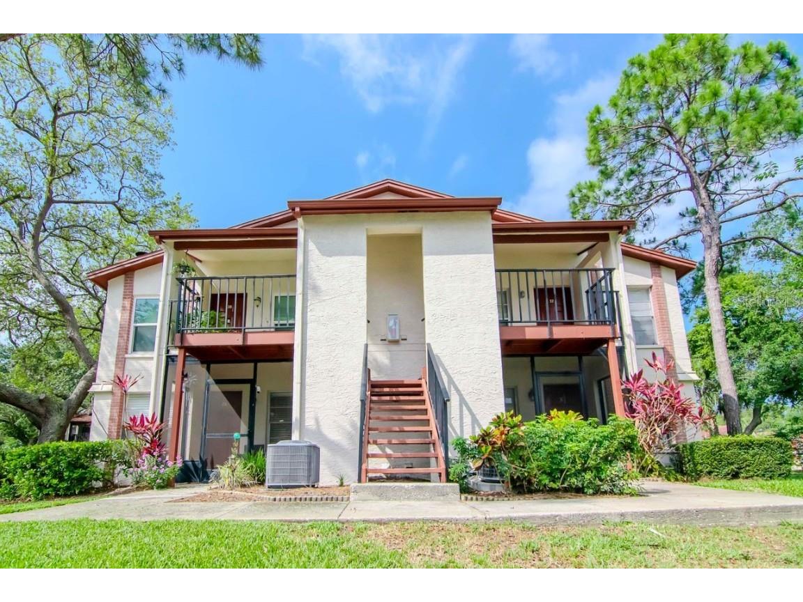 3455 Countryside Boulevard #31 Clearwater FL 33761 TB8382498 image2