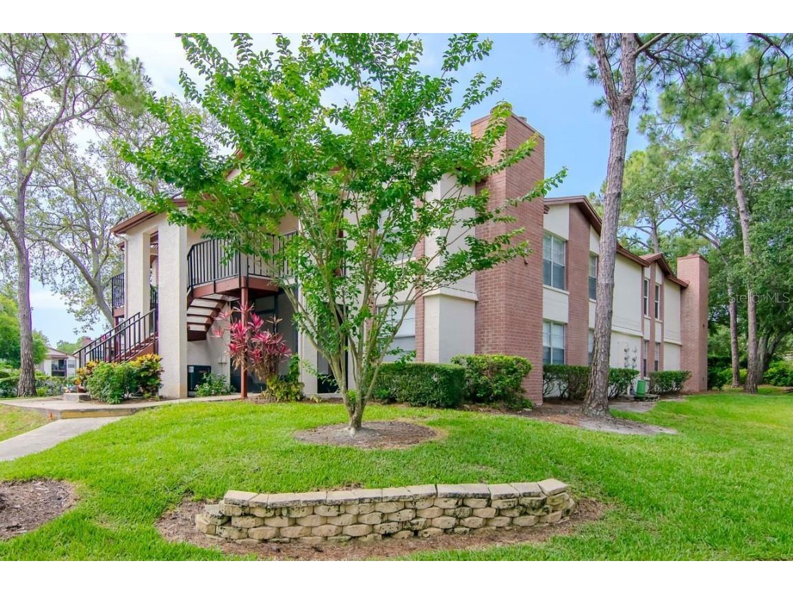 3455 Countryside Boulevard #31 Clearwater FL 33761 TB8382498 image27