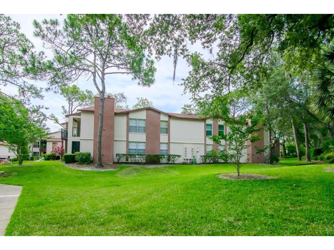 3455 Countryside Boulevard #31 Clearwater FL 33761 TB8382498 image28