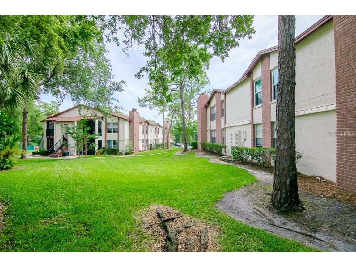 3455 Countryside Boulevard #31 Clearwater FL 33761 TB8382498 image29