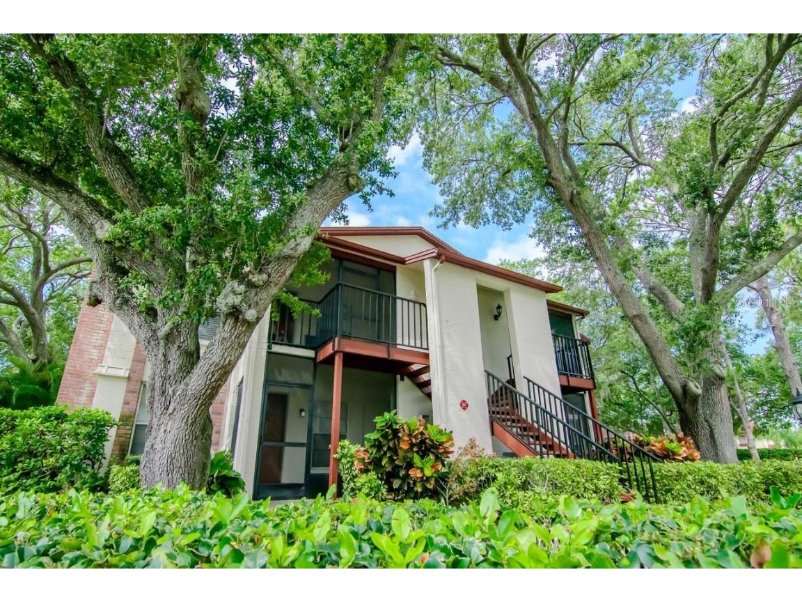 3455 Countryside Boulevard #31 Clearwater FL 33761 TB8382498 image36
