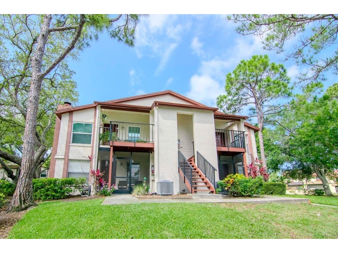 3455 Countryside Boulevard #31 Clearwater FL 33761 TB8382498 image4